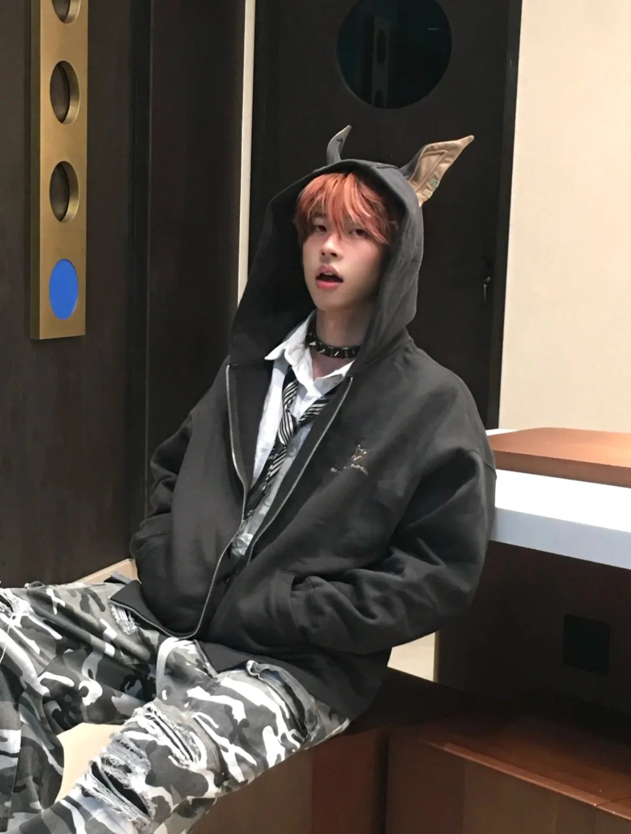 American Doberman Hoodie Men's Trendy Street Hiphop Coat Autumn Rascal Handsome Zipper Cardigan Loose Hip Hop Unisex Coat