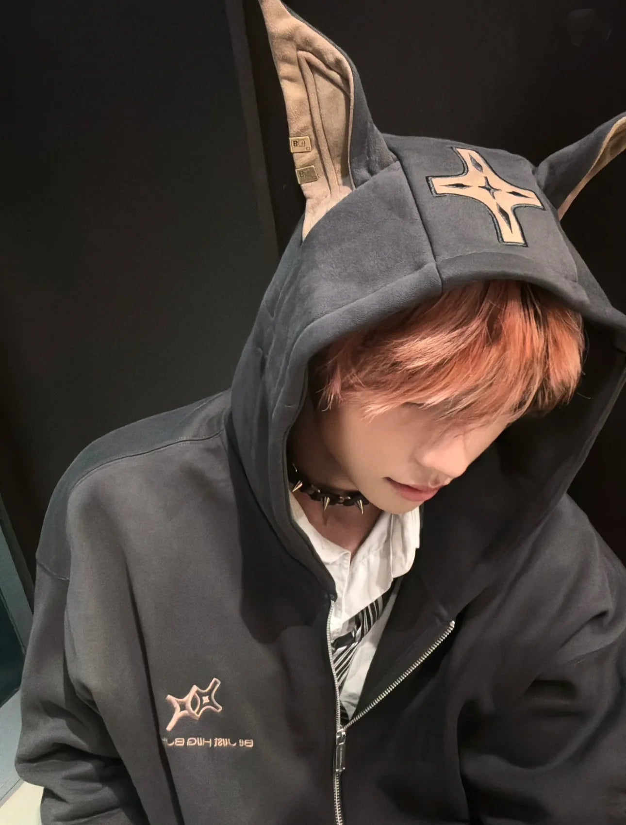 American Doberman Hoodie Men's Trendy Street Hiphop Coat Autumn Rascal Handsome Zipper Cardigan Loose Hip Hop Unisex Coat