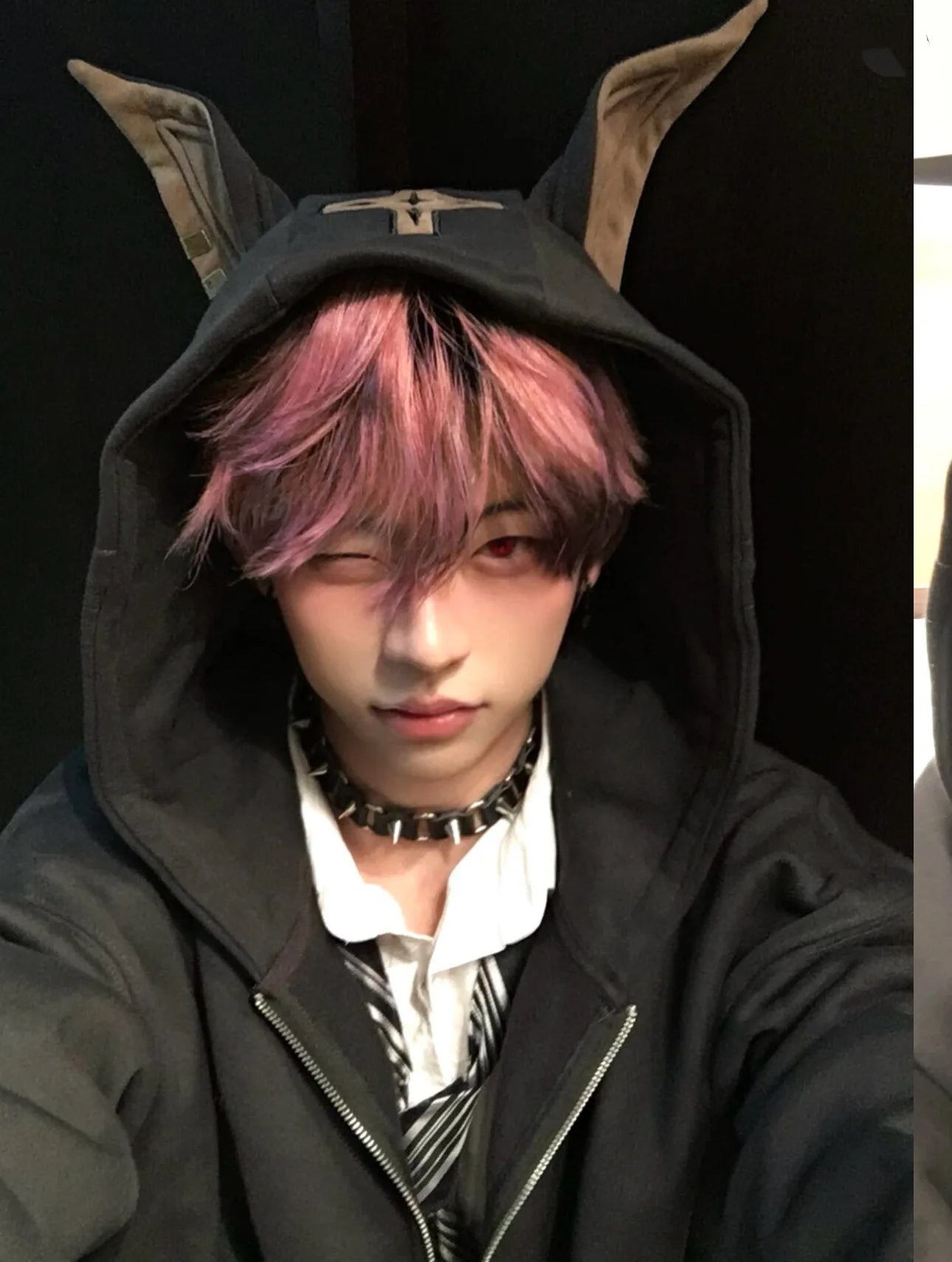 American Doberman Hoodie Men's Trendy Street Hiphop Coat Autumn Rascal Handsome Zipper Cardigan Loose Hip Hop Unisex Coat