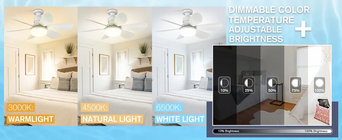 Ceiling Fan Light Screw in Small Ceiling Fan with Remote 3 Wind Speed Dimmable LED 3000-6500K 6 White Blades 20.5 Inch